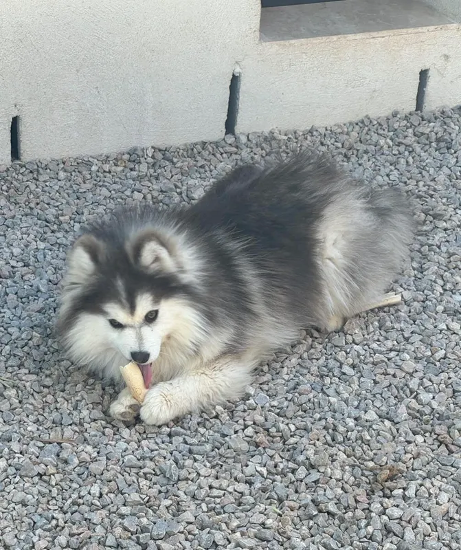 Sylver, photo 2